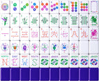 Juego de 160 azulejos de Mahjong americanos solamente, azulejos del zodiaco de 4 capas, diseño patentado de I+D hecho a medida para viajes de juego en casa (sin estuche ni chips)
