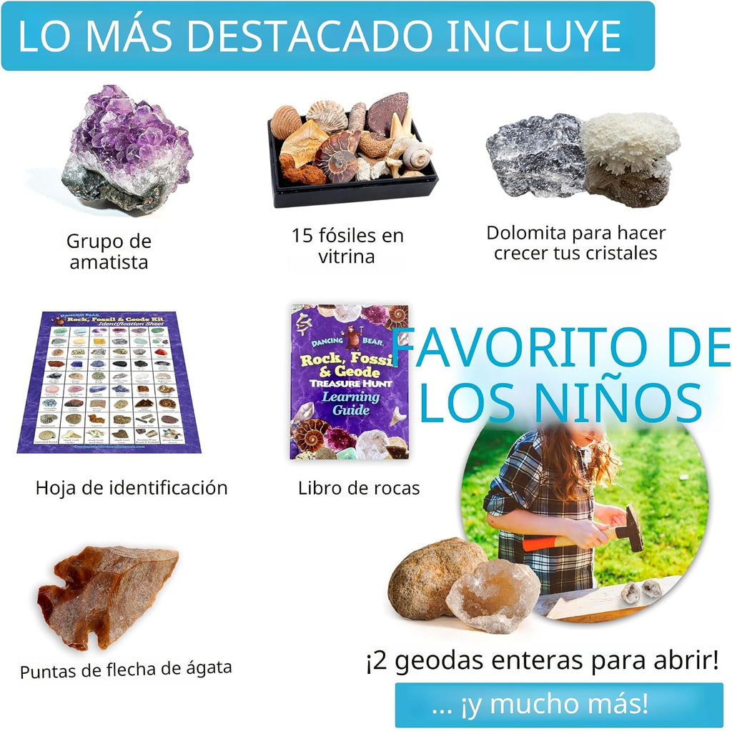 Set de actividades de la colección Rock & Mineral (más de 150 piezas), hoja de identificación educativa más 2 geodas fáciles de romper, dientes de tiburón fosilizados y flechas de la marca Dancing Bear