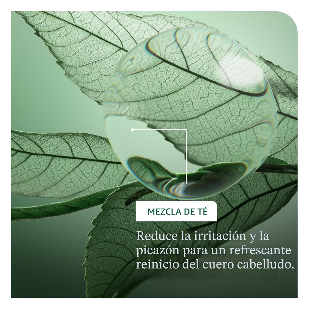 Biolage Scalp Sync Universal Conditioner - Nourishing &amp; Hydrati...