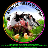 Vegan's Best Friend - Multivitamínico a base de plantas para ho...