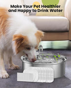 oneisall Juego de 8 Filtros de Repuesto para PWF-002 Fuente de Agua para Perros de 7L