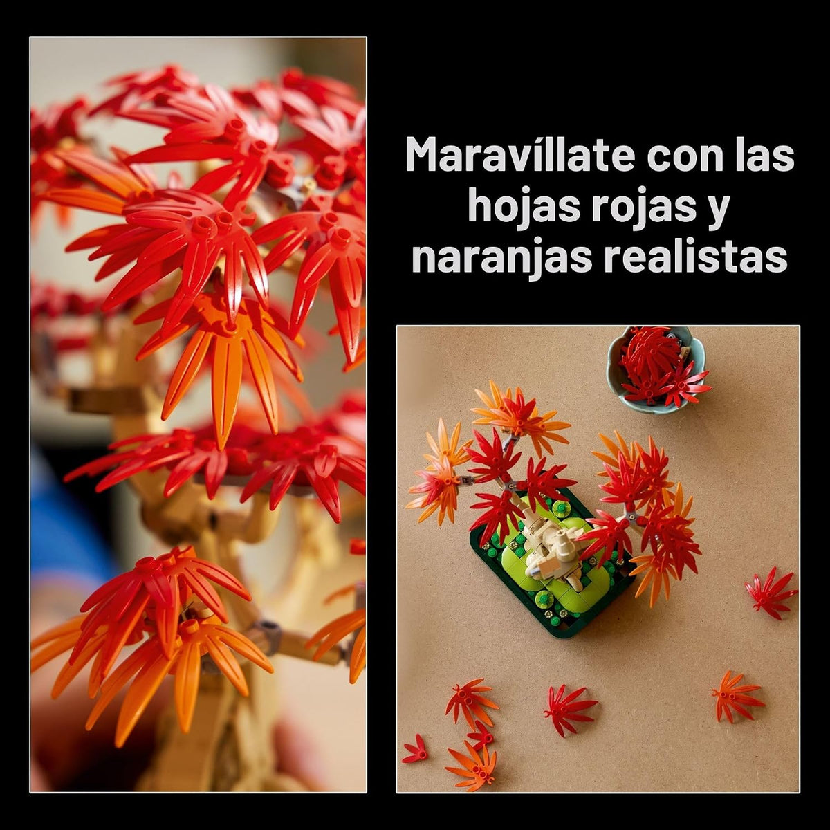 LEGO Botanicals 10348 - Kit de construcción de árbol bonsái de arce rojo japonés para adultos mayores de 18 años – Decoración única del hogar para habitación u oficina – Idea de regalo de inauguración de la casa para el nuevo hogar – Decoración de plantas