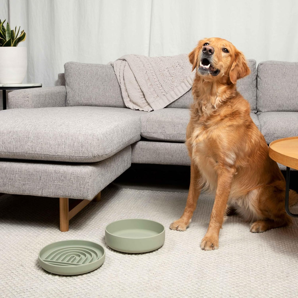 ¿Deberíamos Ir? Cuenco de agua para perros - El plato perfecto sin derrames, menos desorden, no se vuelca, cuenco de agua y comida, de silicona pura con ventosa, capacidad para 5 tazas, 19 cm de ancho