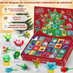 Calendario de Adviento de flores y suculentas 2026-24 días, juego de