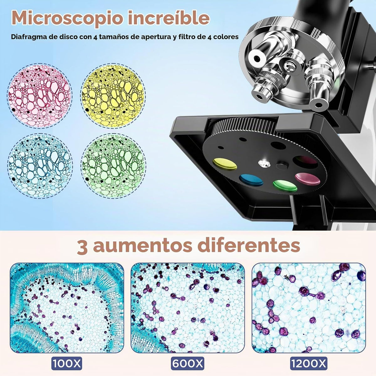 Kit de microscopio para niños 100X-1200X para niños: Microscopio compuesto