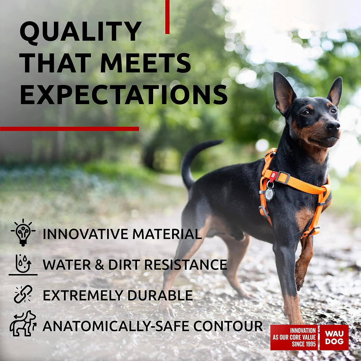 WAUDOG Arnés impermeable para perro con etiqueta de código QR y cierre de