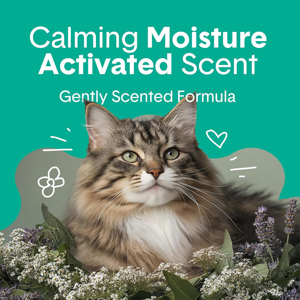 Boxie Premium - Arena para gatos perfumada para gatos durante más de 30 días, 16 libras