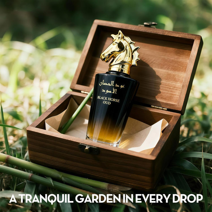 A CENTER Colonia para hombres Eau De Parfume en aerosol Black Horse...