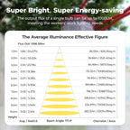 Cadena de luz de construcción de 50 pies y 75 W, certificado ETL, 18/2 SJTW