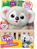 LITTLE LIVE PETS My Baby Koala Kiki, animal de peluche