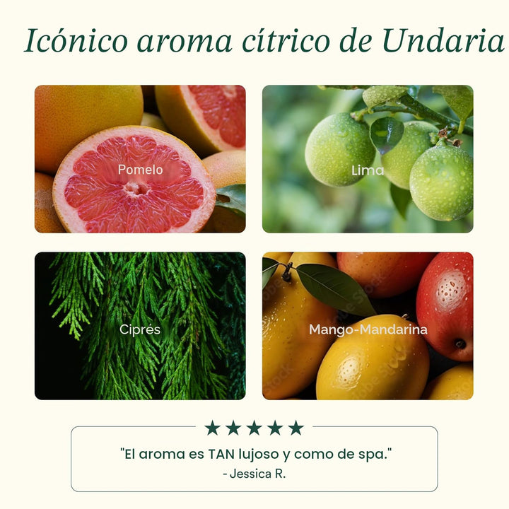 OSEA Undaria - Aceite corporal de algas de 5 onzas \u2013 Visibleme...