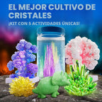 National Geographic Crystal Growing Kit con 5 Unique Activities