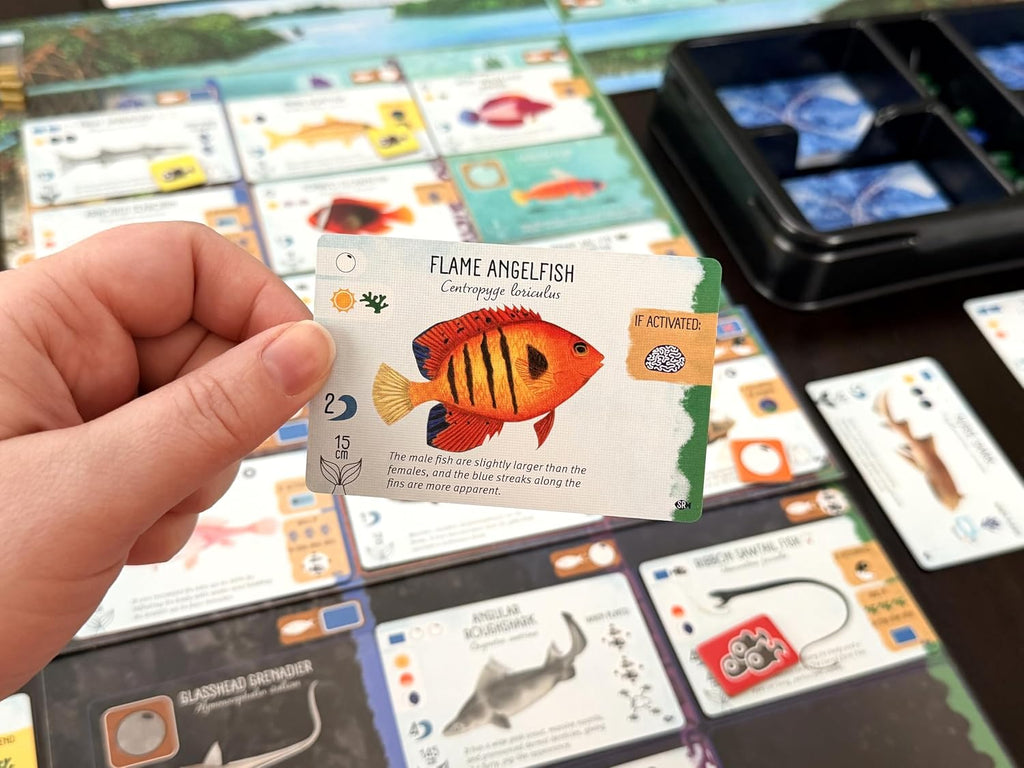 Stonemaier Games: Finspan: Expansión de tiburones y arrecifes de Michael
