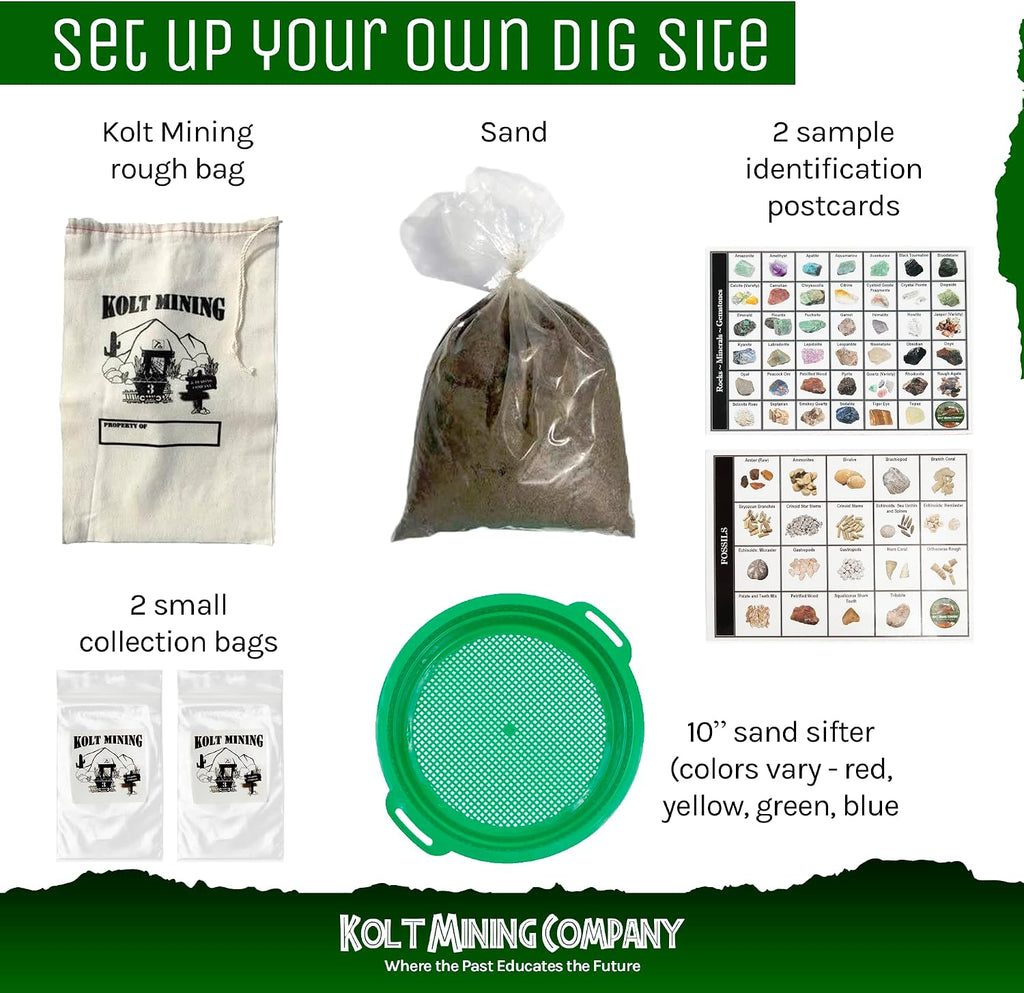 Kit de geología para adultos: rocas, minerales, fósiles, cristales y dientes de tiburón