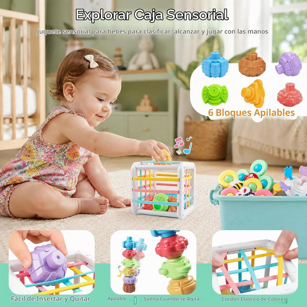 Montessori Toys - Juego de aprendizaje sensorial 6 en 1