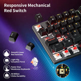 Newmen GM325Pro - Teclado mecánico con retroiluminación LED arcoíri...