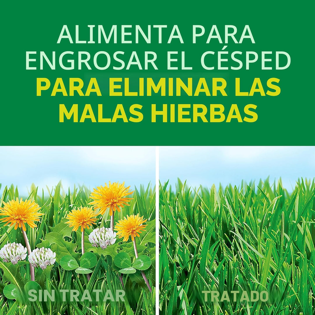 Scotts Turf Builder Weed and Feed5, Fertilizante y controlador de m...