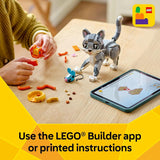 LEGO Creator 3 en 1 Juguete juguetón para gatos juguete de