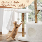 Garvee Torre de árbol de madera para gatos, interior y apartamento de mimbre natural con columna de captura de gatos y cama, marco de árbol estético