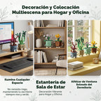 Juego de 4 botánicos de plantas felices, 968 piezas, colección botánica de flores, juguetes de construcción para el hogar, oficina, Navidad, cumpleaños