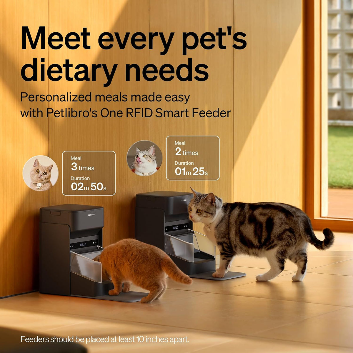 PETLIBRO Comedero automático RFID para gatos, sensor de collar para comidas personalizadas, reconocimiento de gatos, seguimiento de dieta y antirrobo para hogares con múltiples mascotas y diferentes