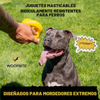 Indestructible Dog Ball - Lifetime Replacement - Durable Dog Toy para Aggressive Chewers - Safe, Non-Toxic Natural Rubber - Chew, Tug & Fetch - Tough, Heavy Duty Chew Toy - 4” (Softball Size)