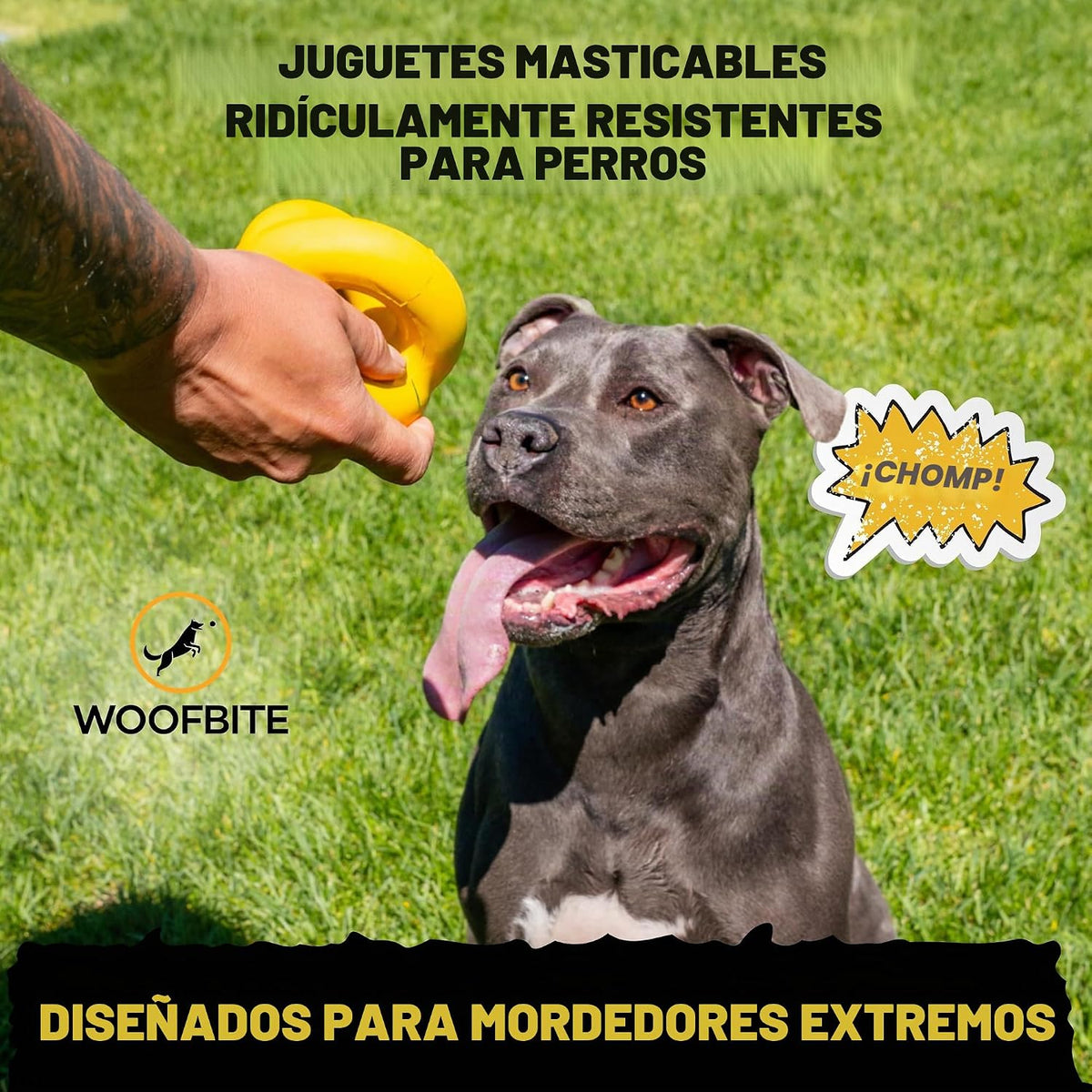 Indestructible Dog Ball - Lifetime Replacement - Durable Dog Toy para Aggressive Chewers - Safe, Non-Toxic Natural Rubber - Chew, Tug & Fetch - Tough, Heavy Duty Chew Toy - 4” (Softball Size)