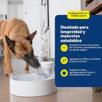 PetSafe Outlast - Fuente de agua para perros sin bombeo, 128 onzas