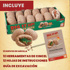 MindWare ¡Desenterralo! Kit de excavación de huevos de dinosaurio