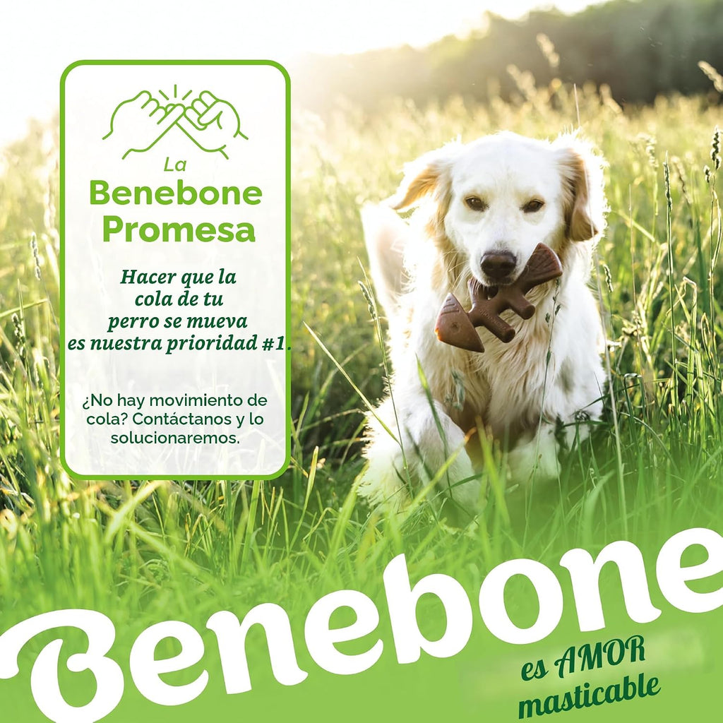 Benebone Medium 4-Pack Dog Toys para Aggressive Chewers – Under 60 lbs
