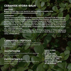 Fitglow Beauty Ceramide Hydra-Balm - Brillo de labios | Suero labia...