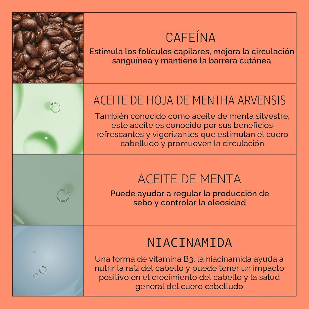 Nioxin Kits de sistema, limpia, acondiciona, hidrata el cuero cabel...