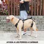 COODEO Mobility - Arnés de elevación para perros, arnés de apoyo y arnés para caminar para perros, chaleco de apoyo de rehabilitación de patas traseras de mascotas, transportador para perros mayores con lesiones en las articulaciones, artritis, escalera