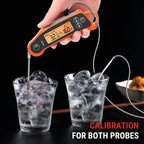 TempPro TempSwift - Termómetro digital para carne, 2 sondas, con 2 canales