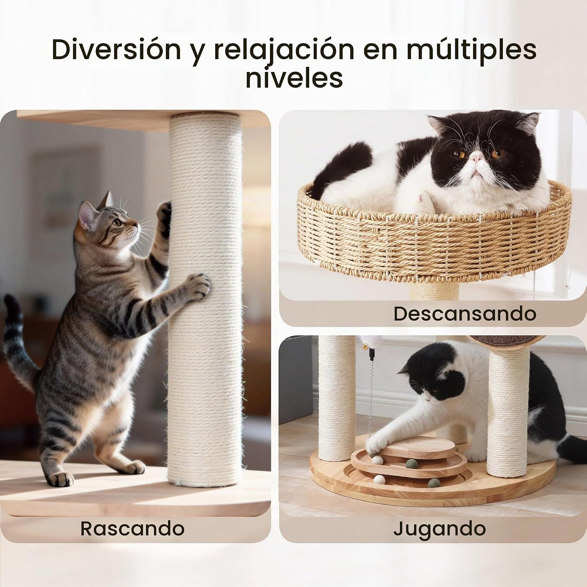 Zonoria - Torre de árbol para gatos grandes, condominio para gatos de