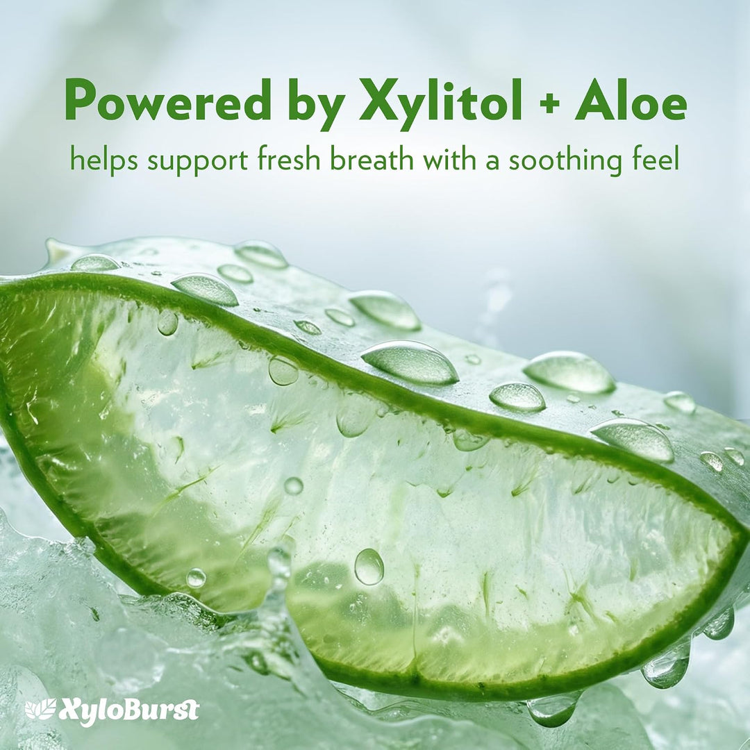 Xyloburst Enjuague bucal natural de enjuague bucal con xilitol, enj...