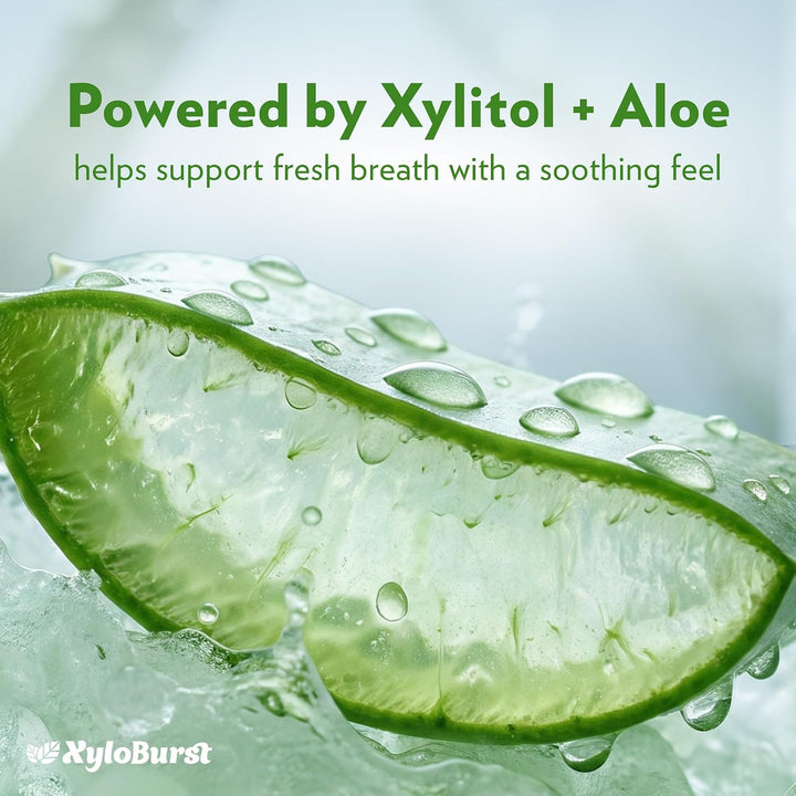 Xyloburst Enjuague bucal natural de enjuague bucal con xilitol, enj...