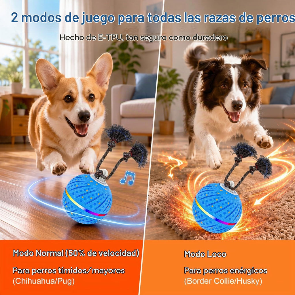 Pelota interactiva inteligente de juguetes para perros para masticadores