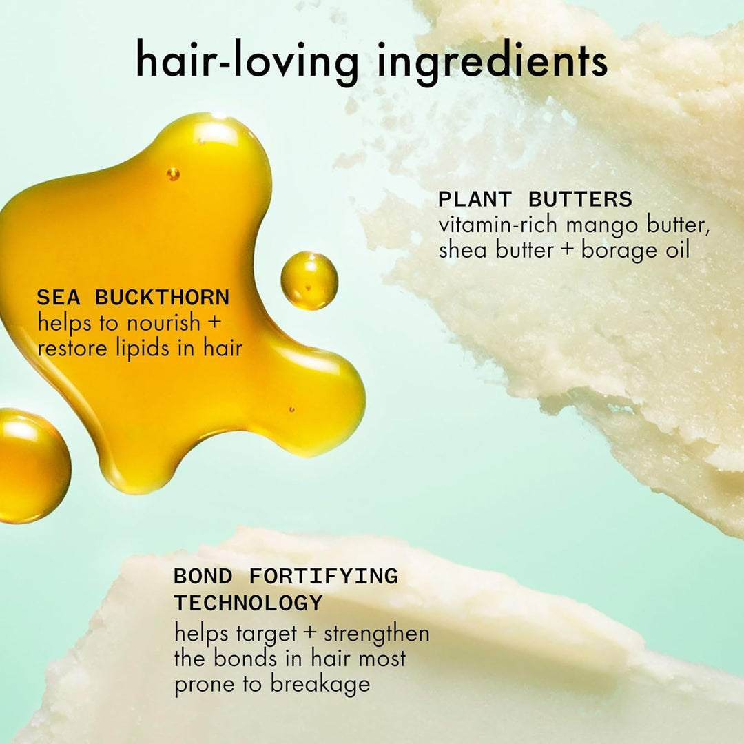 amika the kure strength repair shampoo