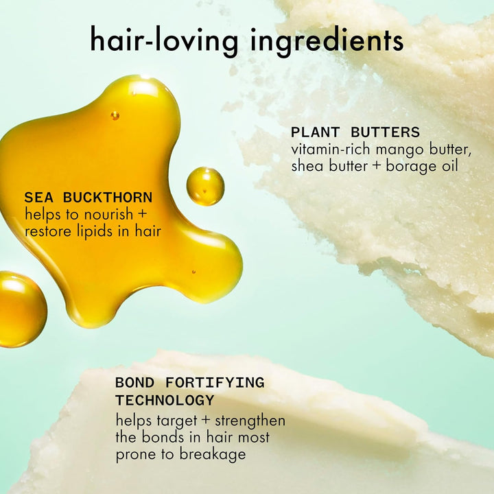 amika the kure strength repair shampoo