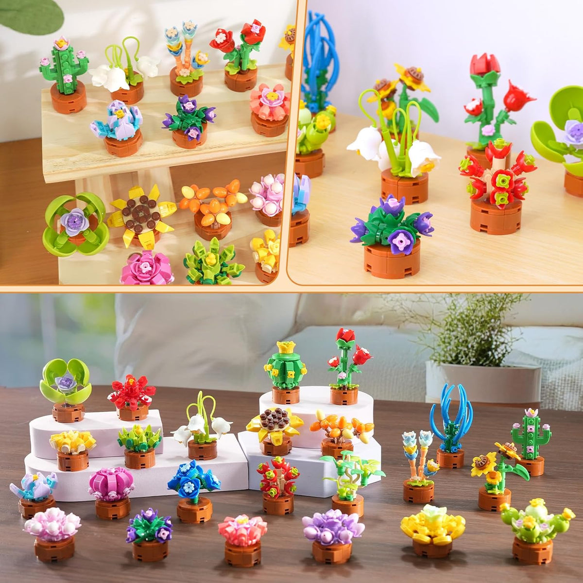 Paquete de 24 flores suculentas recuerdos de fiesta para niños 6+ juegos de