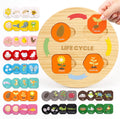 Woodtoe Juguetes de ciclo de vida, 12 temas Montessori Science Toys