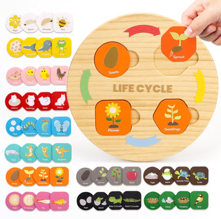 Woodtoe - Juguetes de ciclo de vida, 12 temas Montessori Science To...