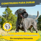 Fida Pelotas de goma natural para perros masticadores agresivos, juguetes duraderos para masticar perros grandes, juguetes interactivos de buscar y tira y afloja para razas medianas y grandes, no