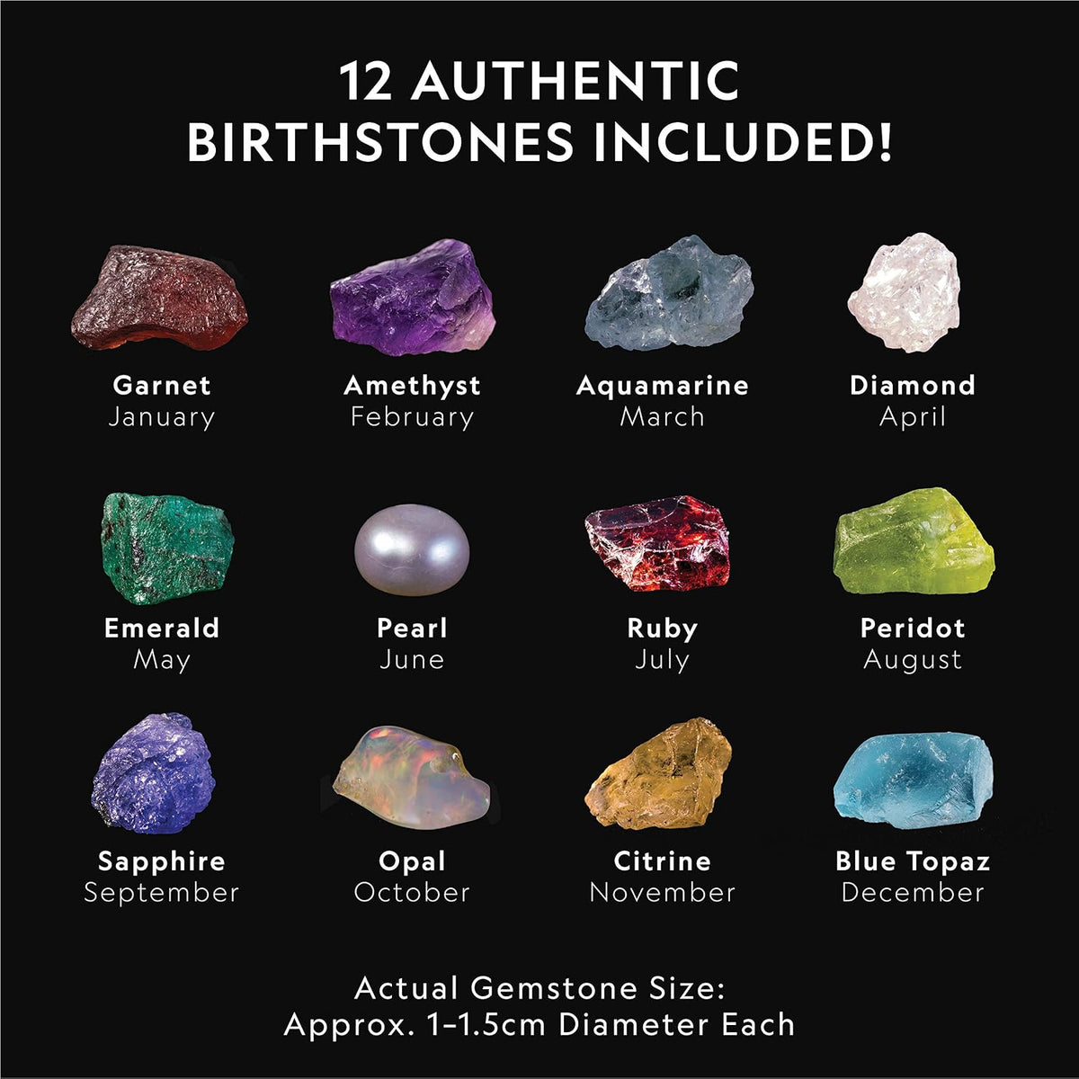 National Geographic Birthstone Dig Kit con 12 Genuine Gemstones para Kids