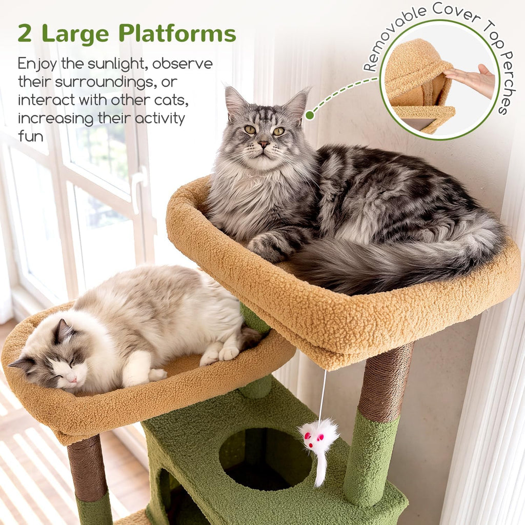 Globlazer Torre alta para gatos de varios niveles de cactus resistente de