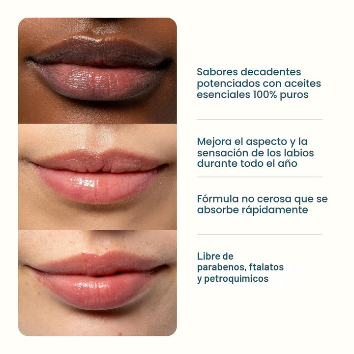 Cliganic Set de bálsamo labial orgánico (recién recogido, 8 sabores...