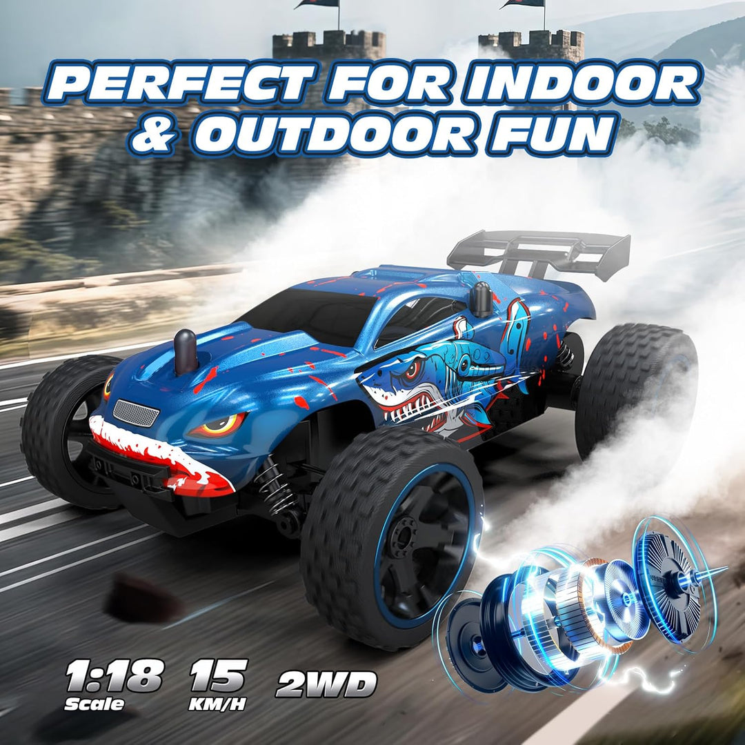 Tecnock Coches RC para Niños, Coche RC 2WD a Escala 1:18 con Carga...