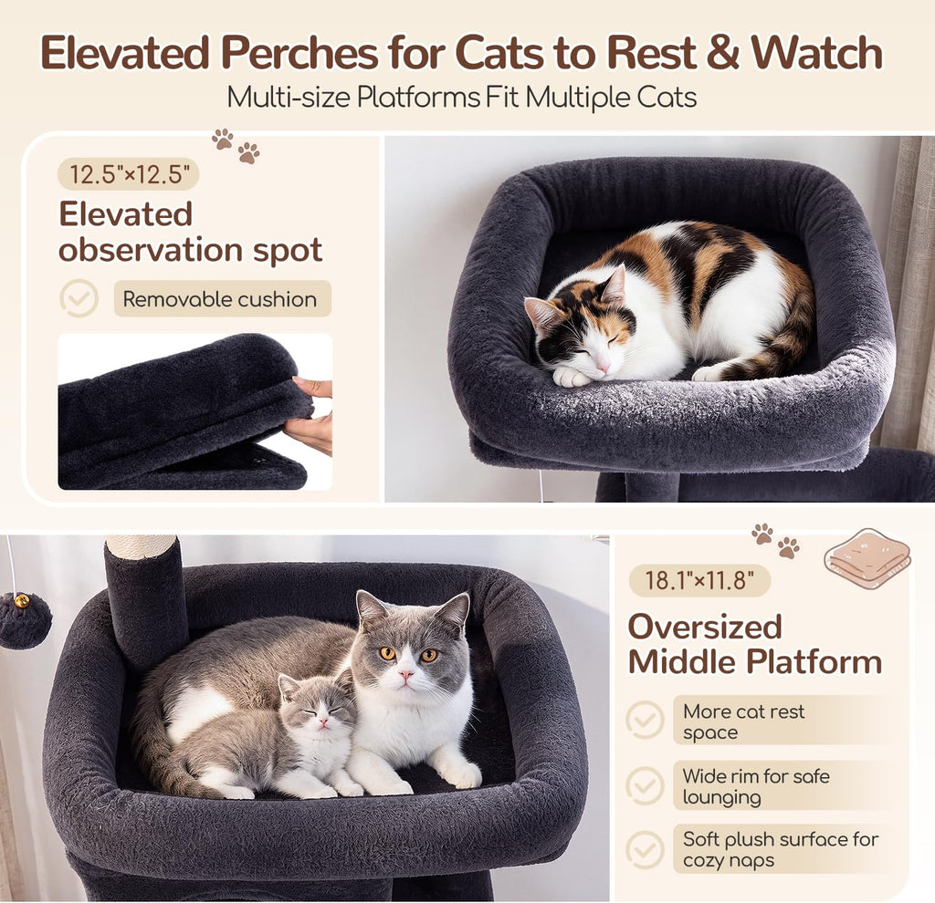 Globlazer Cat Tree Tower 2 Condo Kitten Scratching Post, F54, gris oscuro