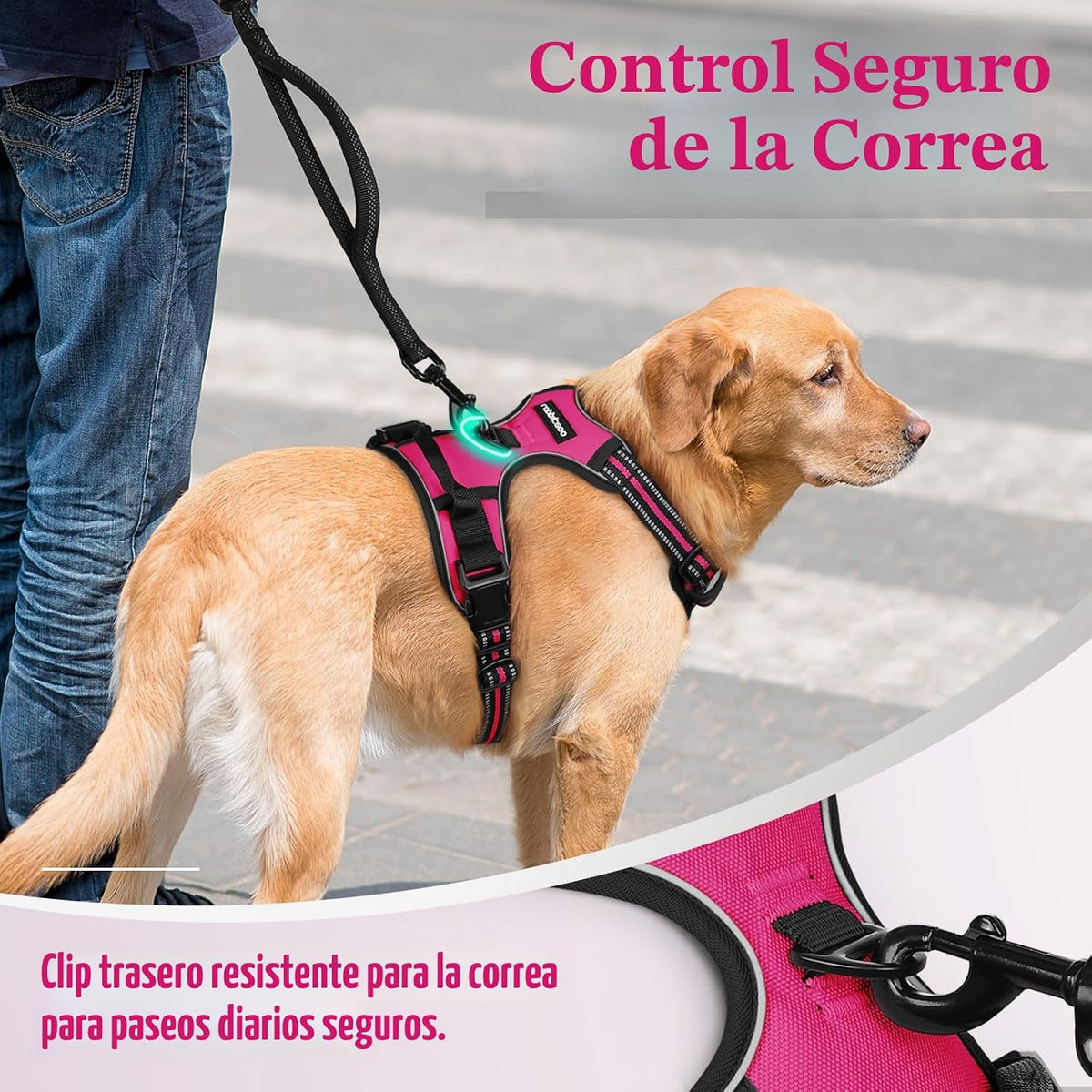 rabbitgoo - Arnés para perro, sin tirones, para perros grandes